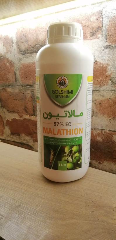سم حشره کش مالاتیون انواع گیاه